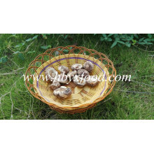 Сушеные чай цветок гриб Шиитаке растет с haccp
